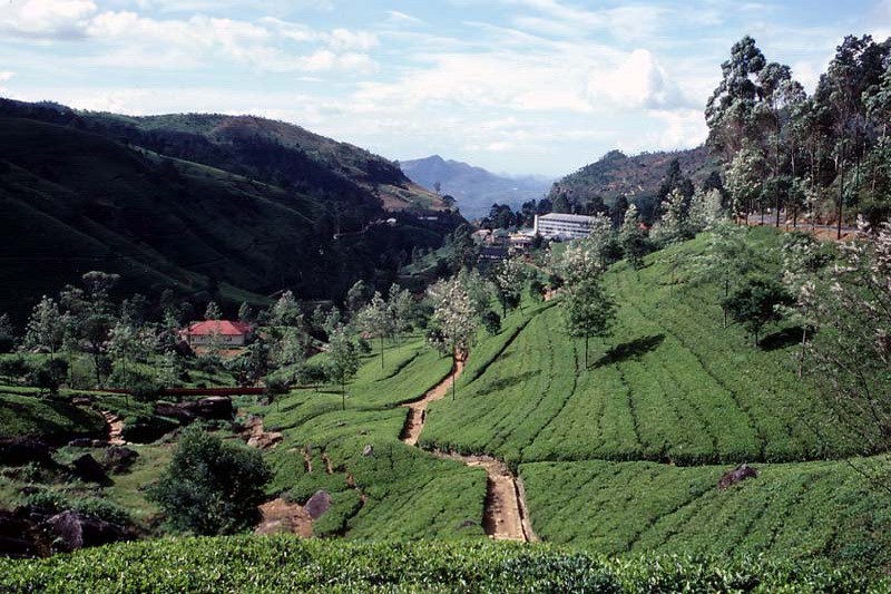 Sri Lanka, Nuwara Eliya